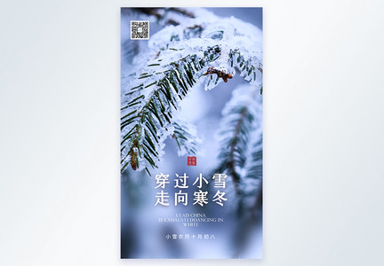 清新简约文艺小雪节气摄影图海报图片