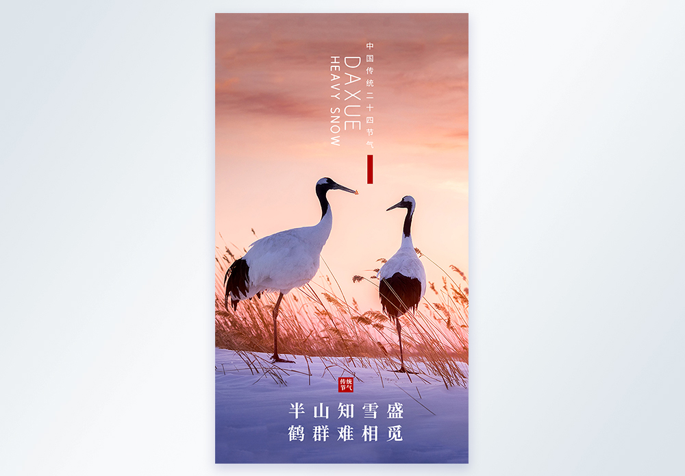 丹顶鹤24节气大雪摄影图海报设计图片素材