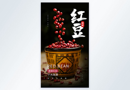 红豆摄影图海报图片