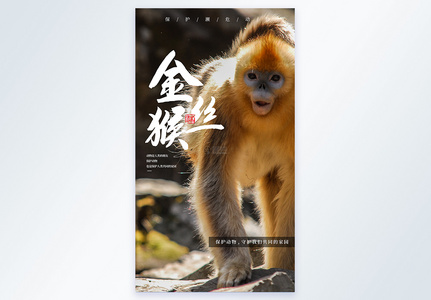保护野生动物公益宣传摄影图海报高清图片