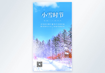 清新简约小雪节气摄影图海报图片