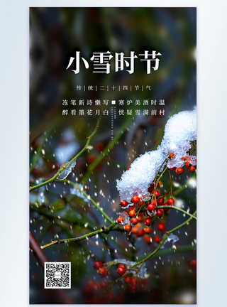 清新简约文艺小雪时节摄影图海报图片