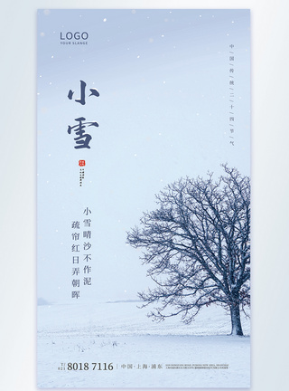 简约小雪节气摄影图海报图片