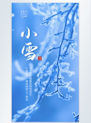 小雪传统节气摄影图海报图片