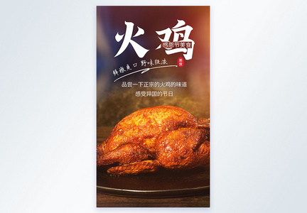 感恩节火鸡美食摄影图海报图片