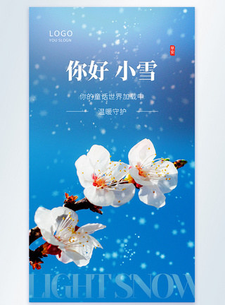 清新简约小雪节气摄影图海报图片