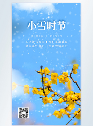 清新简约小雪节气摄影图海报图片