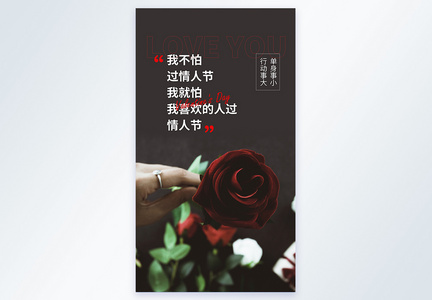 情人节表白玫瑰花情感摄影图海报图片
