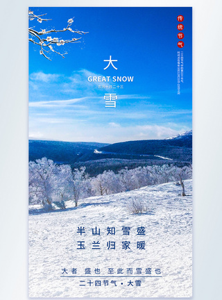 大雪节气二十四节气摄影图海报图片