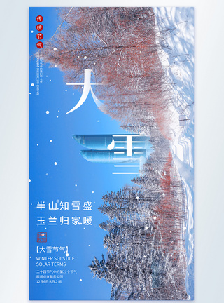 大雪节气摄影图海报图片