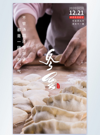 鲅鱼饺子冬至节气二十四节气摄影图海报模板