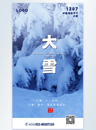 大雪节气摄影图海报图片