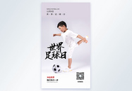 世界足球日贝摄影图海报图片
