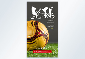 世界足球日贝摄影图海报图片
