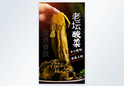 酸菜美食摄影图海报高清图片