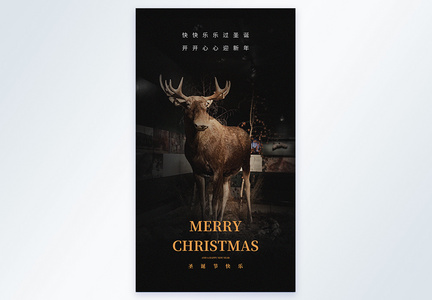 圣诞节麋鹿摄影图海报图片