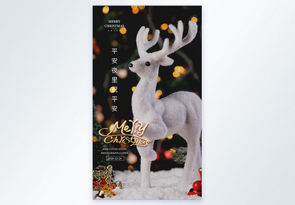 圣诞节麋鹿摄影图海报图片