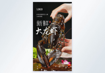 新鲜大龙虾生鲜海鲜美食摄影图海报图片