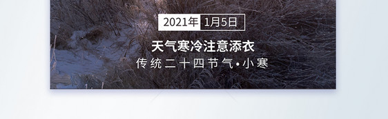 冬季小寒节气摄影图海报图片