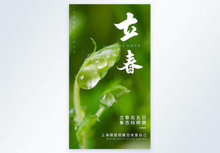 清新萌芽立春节气摄影图海报图片