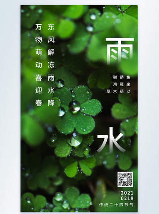 清新雨水传统节气摄影图海报图片