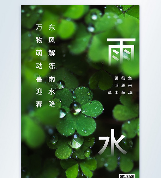 清新雨水传统节气摄影图海报图片