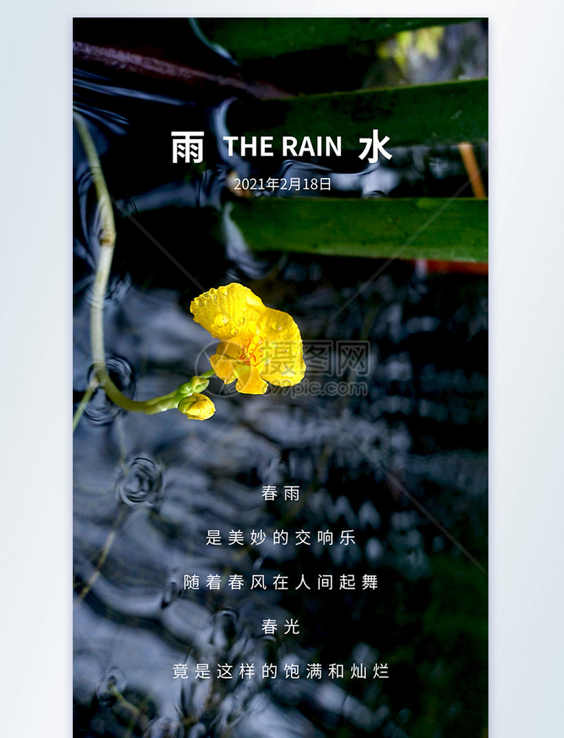 唯美雨水节气摄影图海报