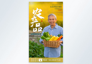 有机农产品绿色蔬菜配送摄影图海报图片