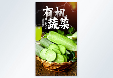 绿色蔬菜有机新鲜摄影图海报图片