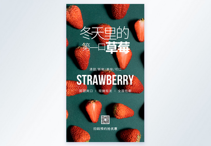 草莓摄影图海报图片
