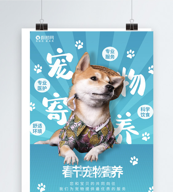 春节宠物寄养团购海报图片