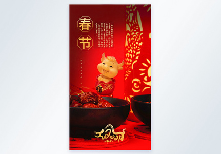 春节摄影图海报图片