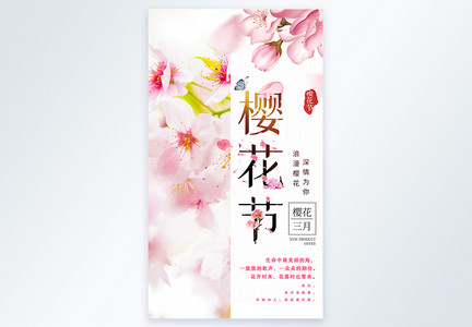 清新简约唯美樱花节摄影图海报图片