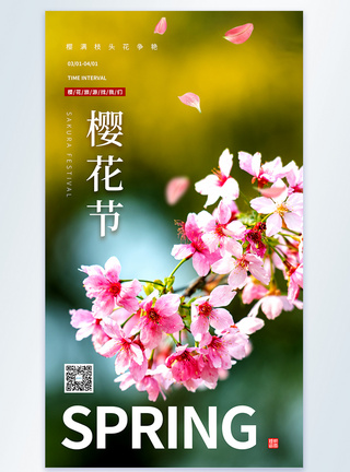 清新简约唯美樱花节摄影图海报图片