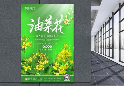 绿色油菜花春季赏花宣传海报图片