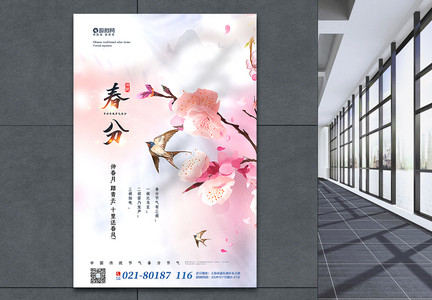 粉色清新春分节气海报图片