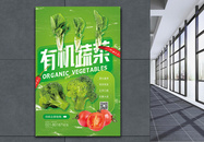 有机蔬菜促销海报图片