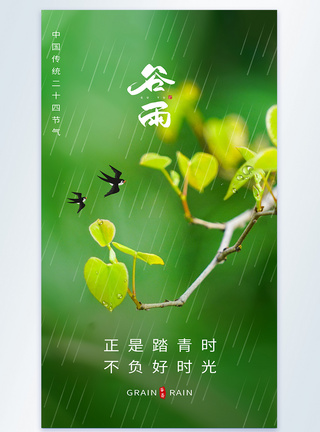 谷雨节气二十四节气摄影图海报图片