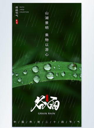 谷雨节气摄影图海报图片