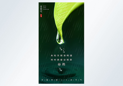 谷雨节气二十四节气摄影图海报图片