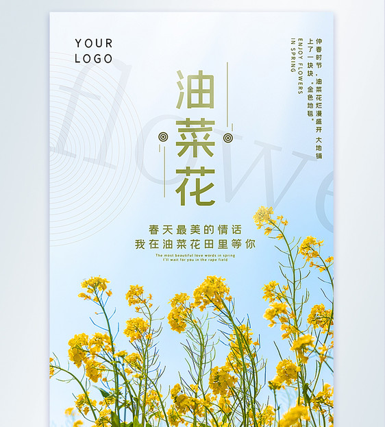 油菜花春季赏花摄影图海报图片