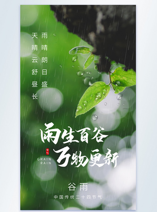 谷雨节气二十四节气摄影图海报图片