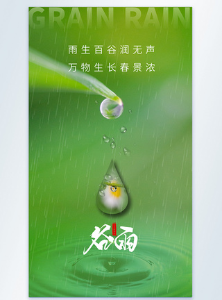 意境风谷雨节气摄影图海报图片