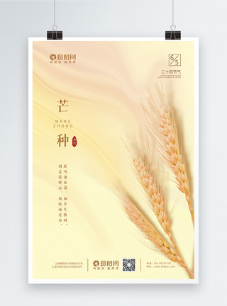 麦穗芒种二十四节气海报图片
