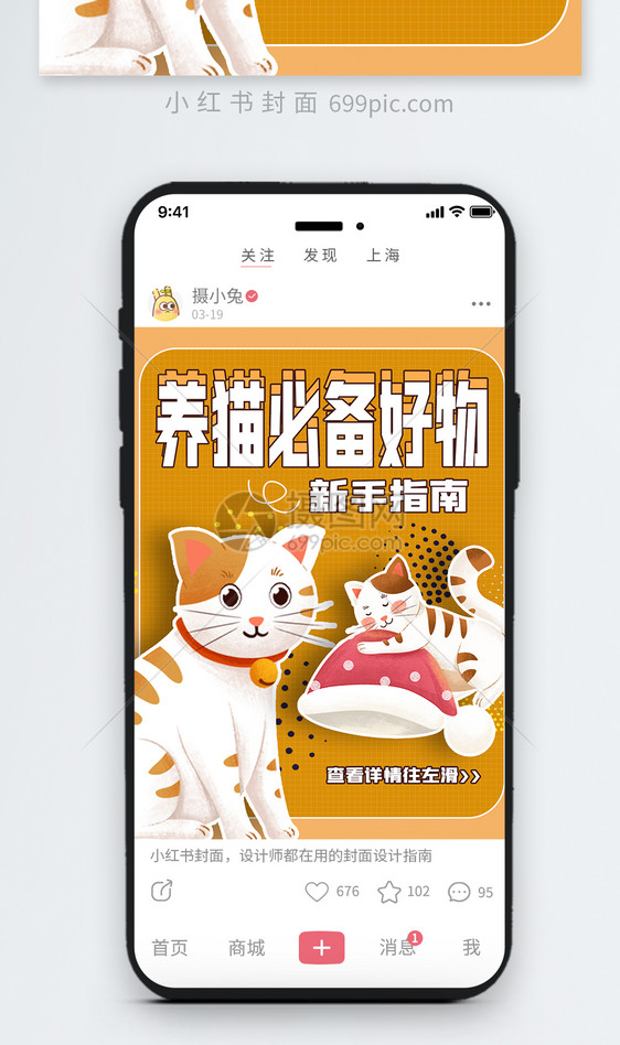 猫咪宠物领养小红书封面图片