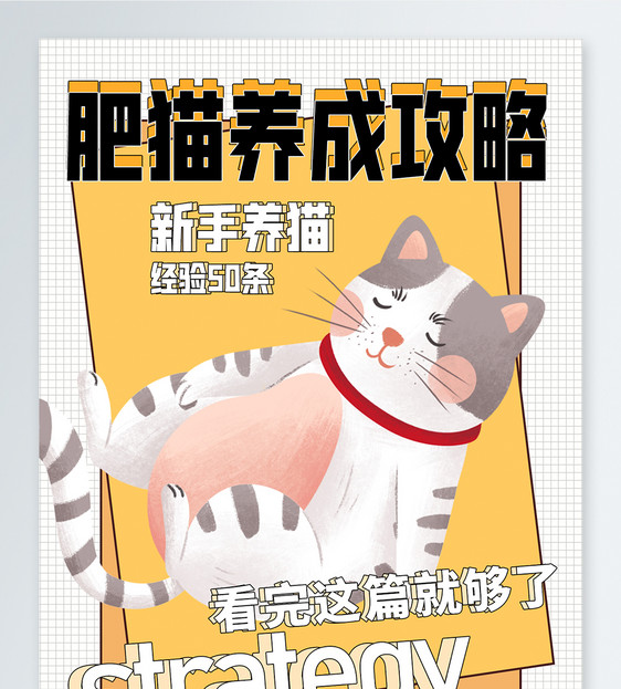 猫咪宠物养成攻略小红书封面图片