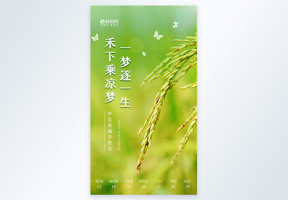 创意清新稻香怀念袁隆平摄影图海报图片素材