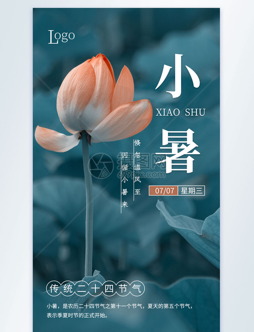 小暑二十四节气摄影图海报