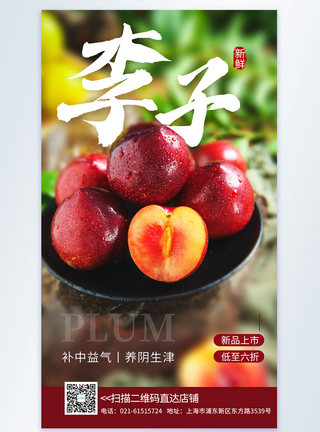 新鲜李子水果促销摄影图海报图片