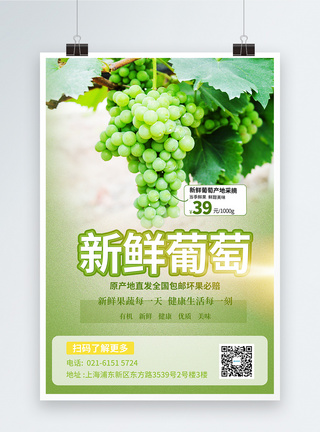 新鲜葡萄上市促销宣传海报图片